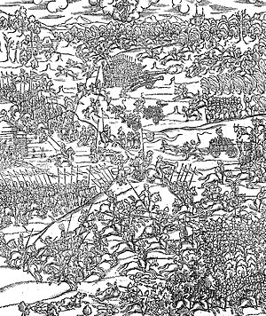 Сражение под Клецком в 1506 г.