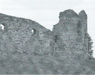 Ливонская пограничная крепость Нейгауз