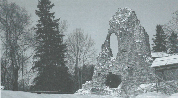 Развалины замка Феллин